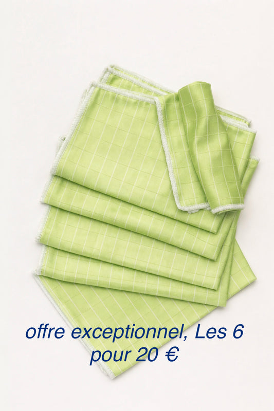 🎁Offre exceptionnelle Lot de 4+2 essuyeuses offert🎁
